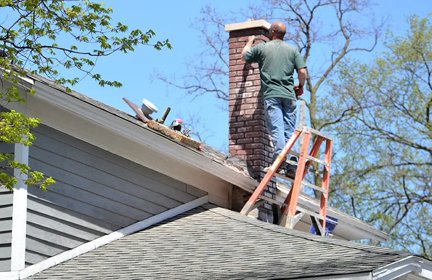 Chimney & Fireplace Inspections Services in Hallandale Beach, FL